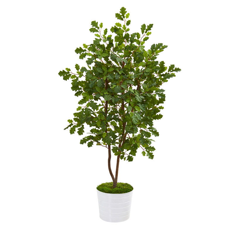 Gracie Oaks 42" Artificial Oak Tree in Planter Wayfair